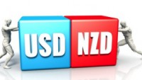 The NZDUSD price keeps declining – Forecast today – 03-03-2025